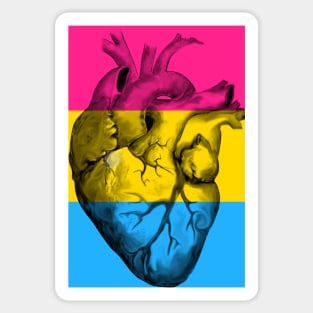 Pansexual Pride Anatomic Heart Sticker
